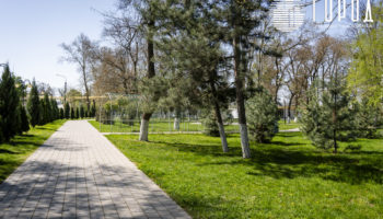 В Крымске отказались от салюта