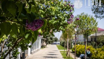Крымская ЦРБ не смогла найти поставщика лечебного питания для пациентов