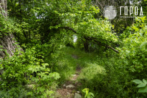 место строительства школы искусств в Крымске (11)