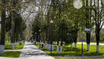 Новости Крымска
