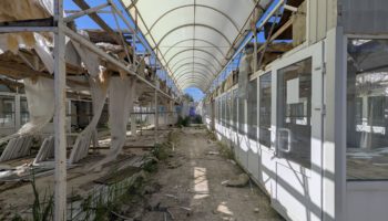 Как удалось выяснить нашей редакции, рынок «Паллада» находится в частной собственности. Соответственно, и земля, на которой он располагался. До настоящего времени собственник не обращался в администрацию с какими-либо проектами по поводу дальнейшего использования этой территории. Что будет с «Палладой» – пока остается загадкой, но очевидно, что рынок доживает последние свои дни.