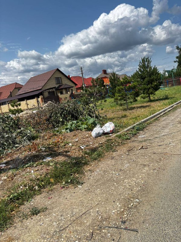 От благоустройства к помойке: крымчане винят соседей в превращении Красноармейской в свалку