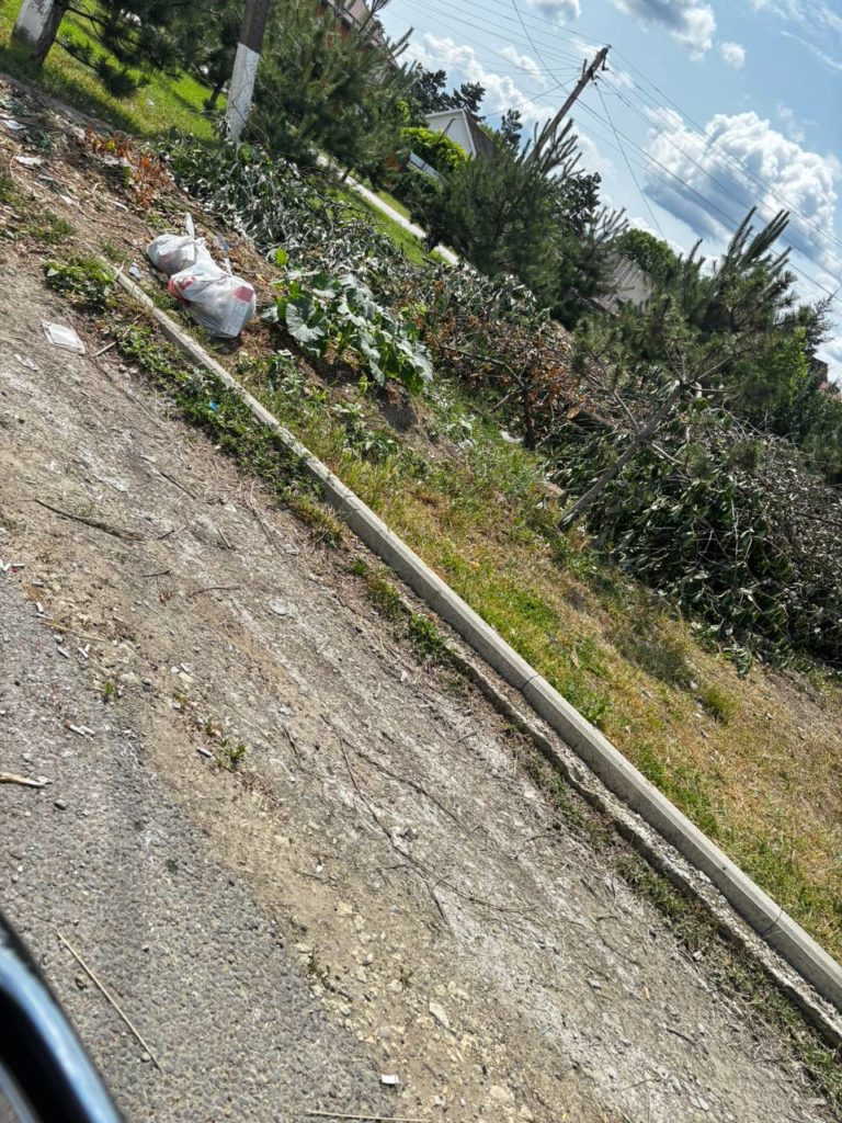От благоустройства к помойке: крымчане винят соседей в превращении Красноармейской в свалку