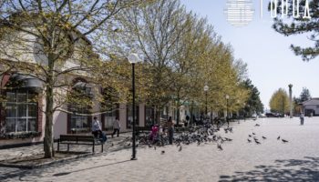 Почему переехавшие в Крымск в восторге от своей новой жизни