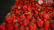 Ярмарка выходного дня в Крымске