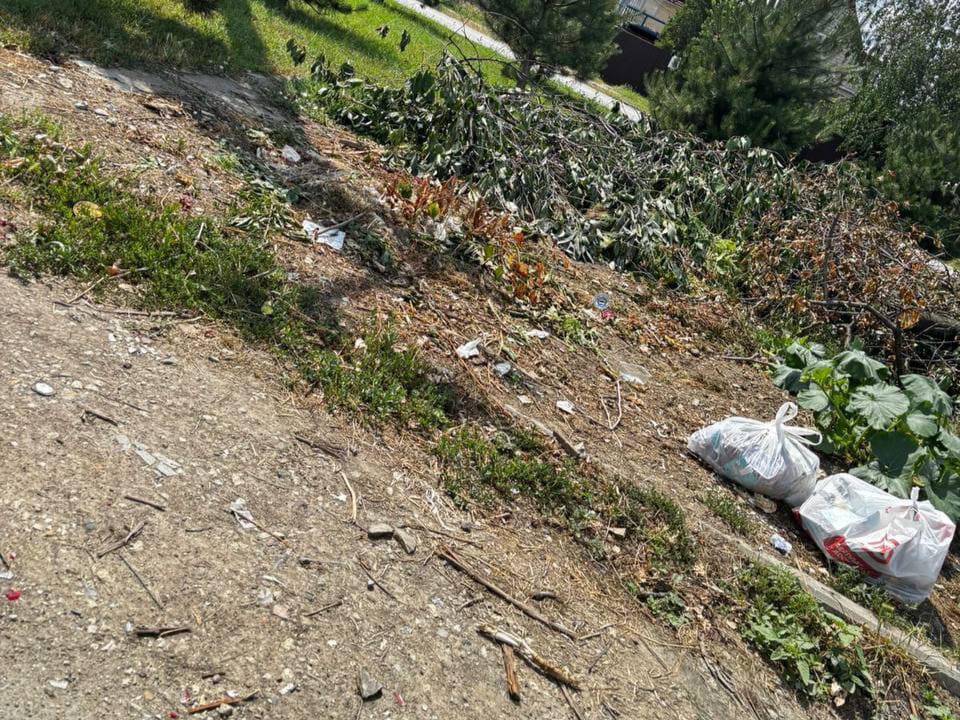 Жители Крымска ответили на обвинения соседей в создании свалки на Красноармейской
