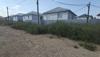 "Джунгли" амброзии и другой травы