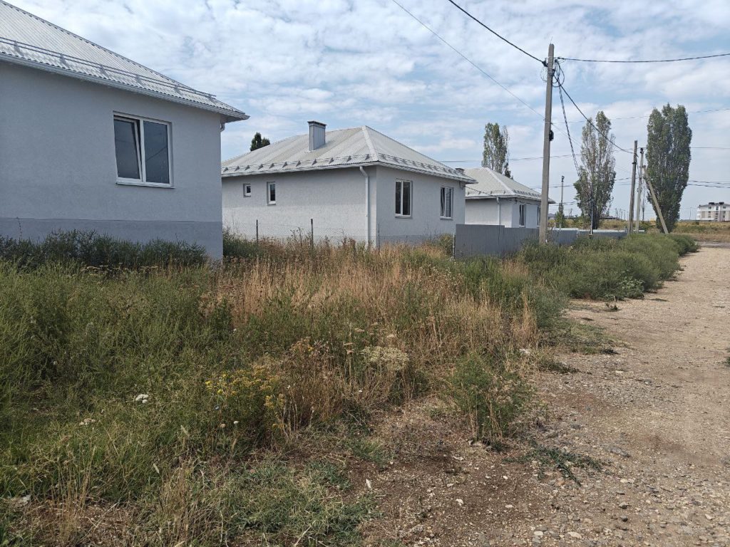 Жительница Крымска пожаловалась на "джунгли" амброзии, от которых её дочь покрылась сыпью