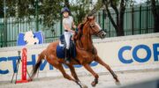 Жозефина Толорая из Крымска завоевала три медали в Краевых соревнованиях по конкуру