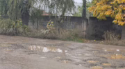 Жители улицы Бригадной в Крымске пожаловались на дорожные ямы