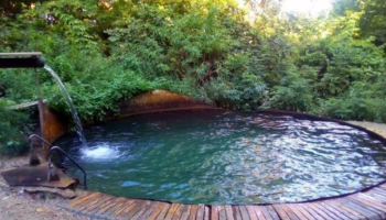 Законность сделки с землёй у «Бочки» в Крымском районе проверят в Росреестре