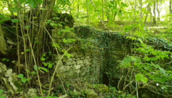 За хутором Аккерменка в Крымском районе обнаружили руины старинной мельницы