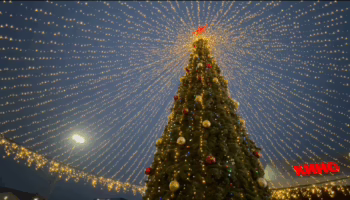 В Крымске установят одну новогоднюю елку