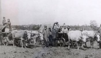 Как в станице Крымской появились первые поселенцы