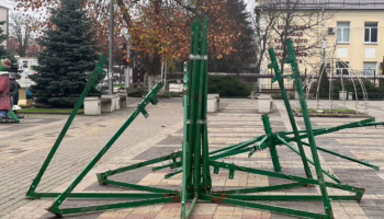 В Крымске начали устанавливать главную новогоднюю ёлку