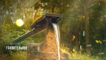 Проект с мини-фильмами из Крымского района борется за победу в конкурсе «Сорока»