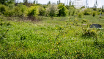 Крымский район проведет общественные обсуждения по шести участкам