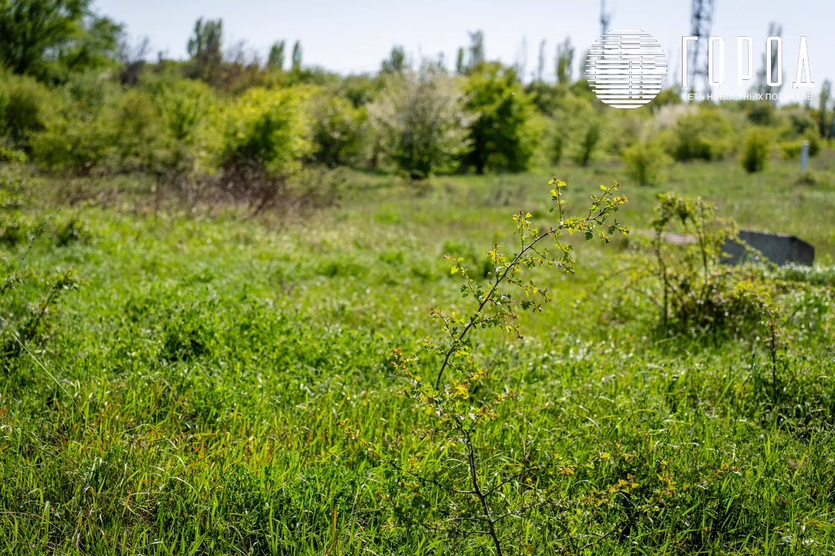 Крымский район проведет общественные обсуждения по шести участкам