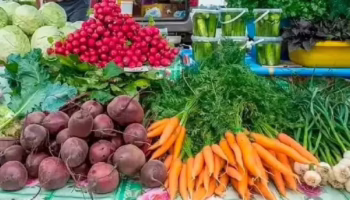 Администрация Крымского района объяснила выбор места для ярмарки выходного дня