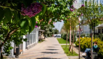 Программа мероприятий на 8 Марта в Крымском районе