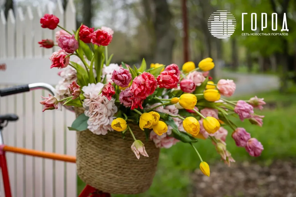 Житель Крымска откровенно рассказал о причинах нелюбви к 8 марта