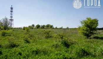 В Крымском районе создана комиссия для борьбы с амброзией