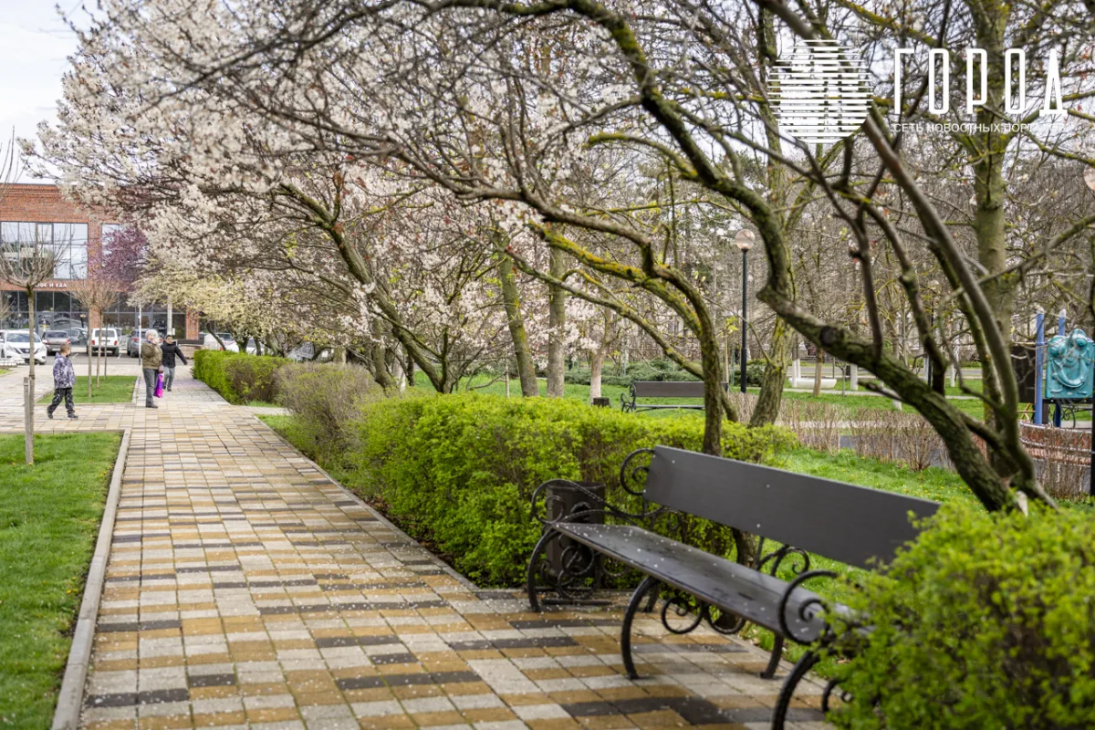 Розовые облака над Крымском: фотограф прошелся по цветущему городу