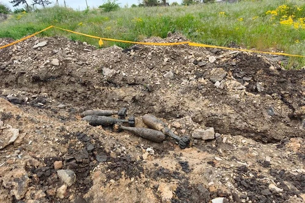 В виноградниках Крымского района нашли целый арсенал старых мин