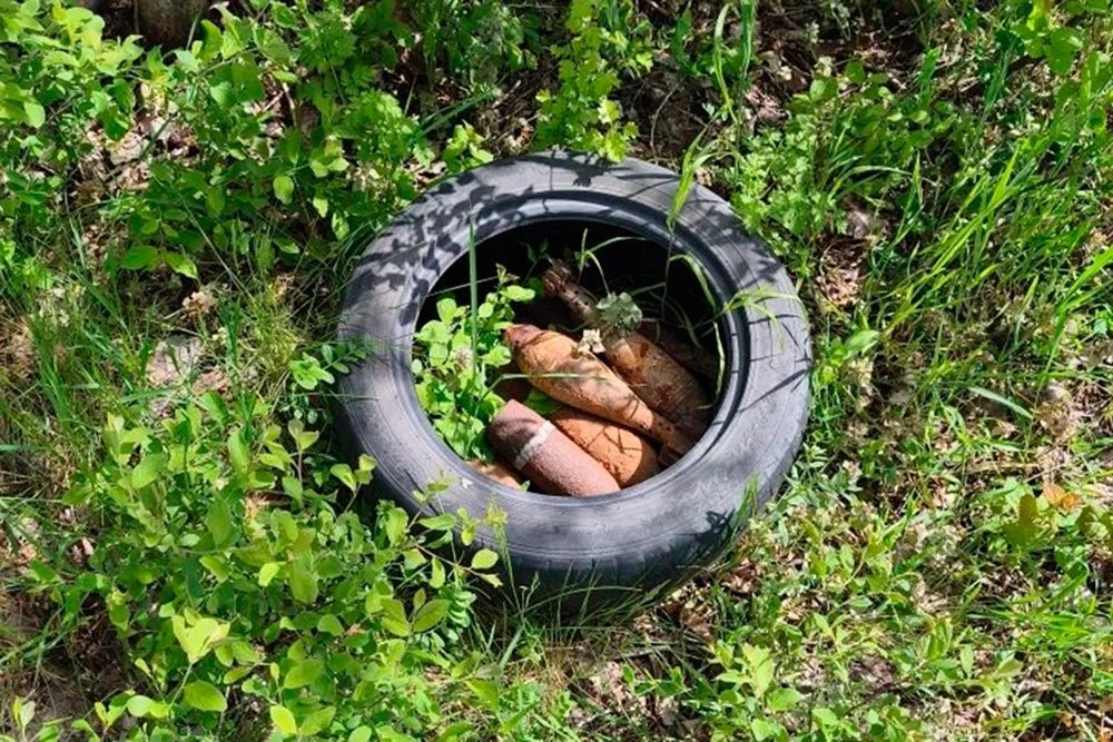 В виноградниках Крымского района нашли целый арсенал старых мин