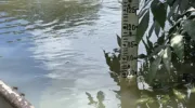 Вода