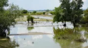 Потоп в Крымске выплаты
