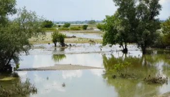 Потоп в Крымске выплаты