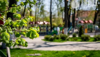 В Крымском районе ввели режим «Повышенной готовности» из-за ливней